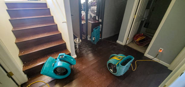 Best Flood damage cleanup  in Daphne, AL