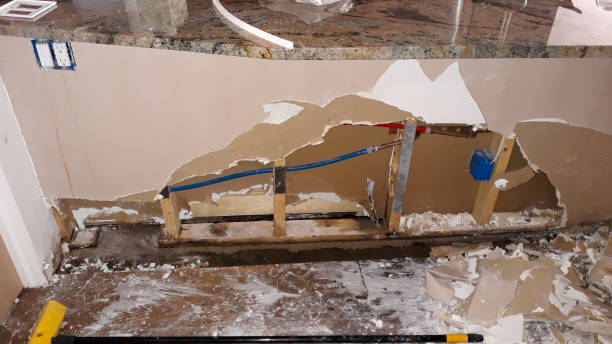 Best Local water damage restoration  in Daphne, AL