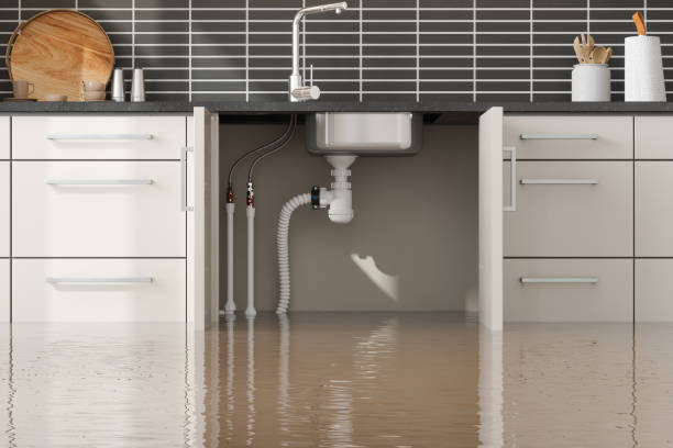 Carpet water damage restoration in Daphne, AL