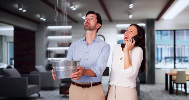 Best Water damage restoration specialists  in Daphne, AL