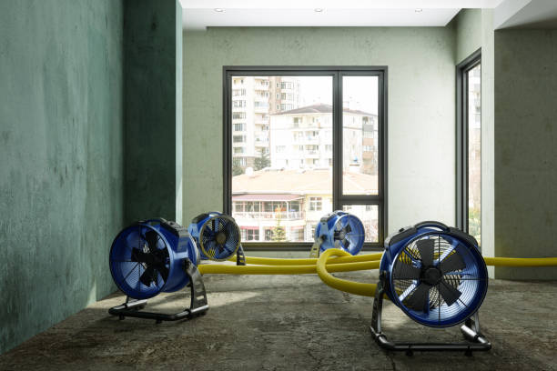 Best Flood restoration services  in Daphne, AL